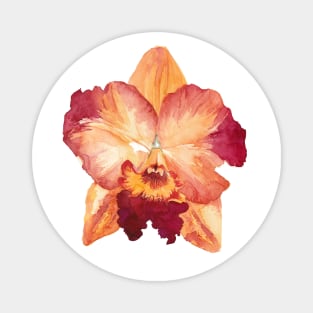 Cattleya Orchid Peach Magnet